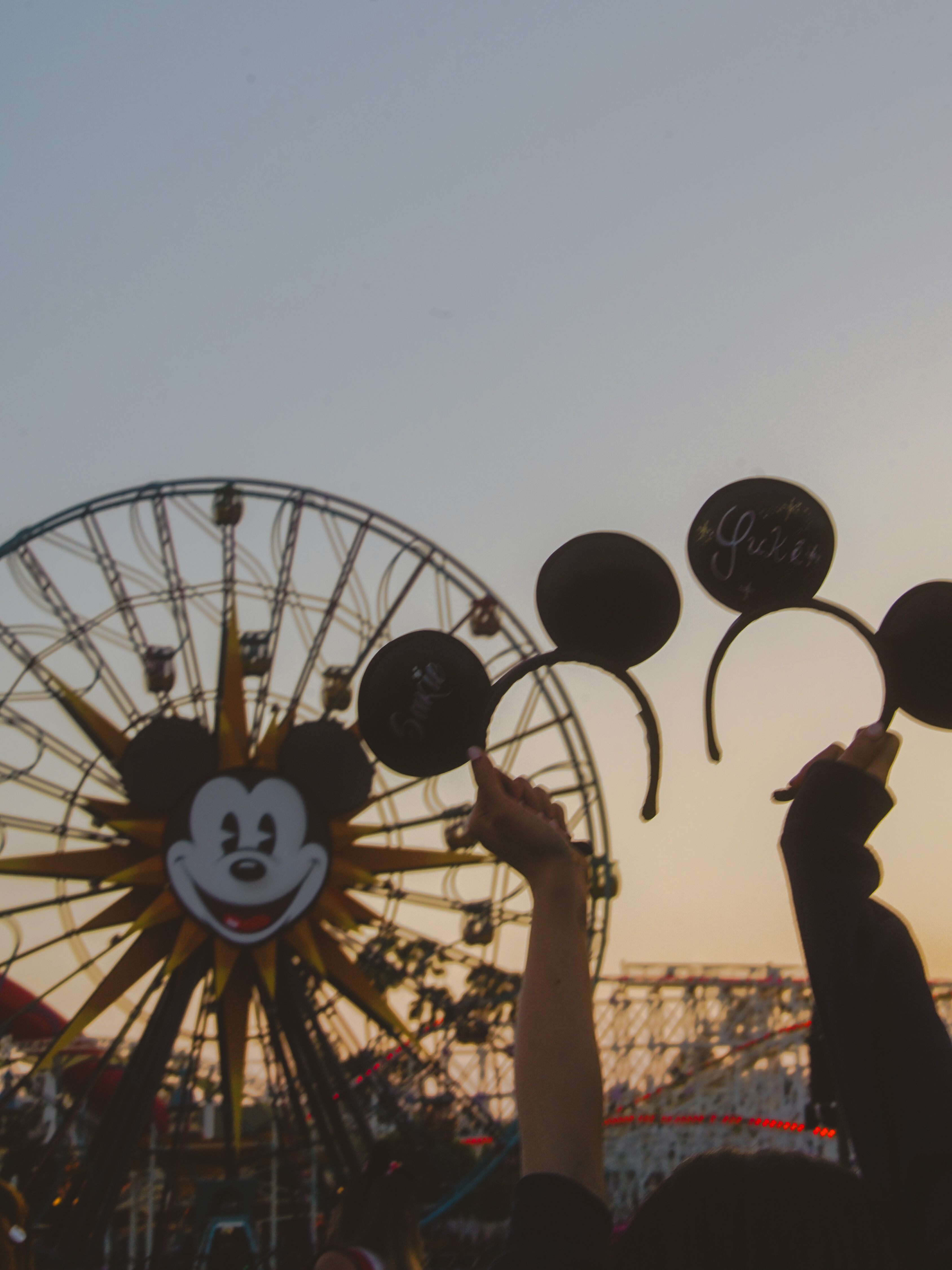 初めてでも安心！カリフォルニア ディズニーランド・リゾートの基本